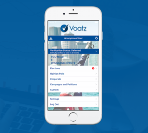 Screengrab from www.voatz.com